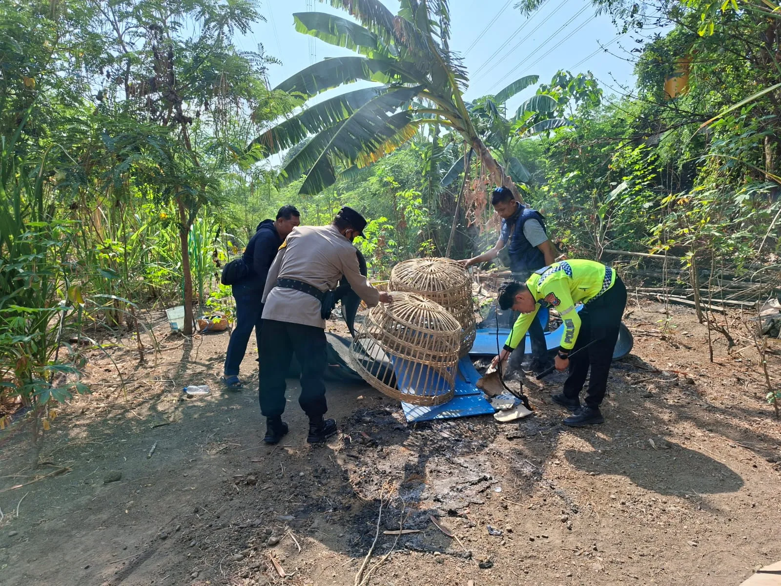 Polsek Waru Bongkar Arena Sabung Ayam di Bungurasih Utara